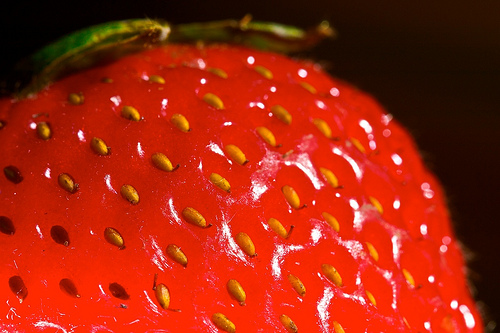 Strawberry - image:David Lenker