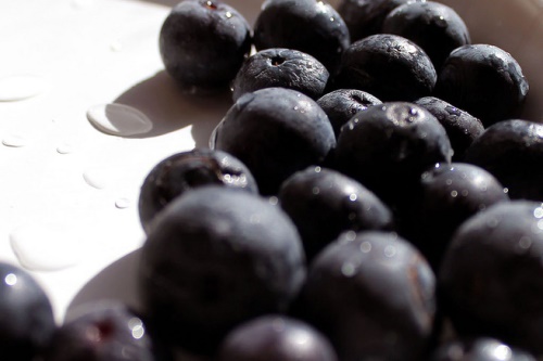 Blueberries - image: Daniella Segura