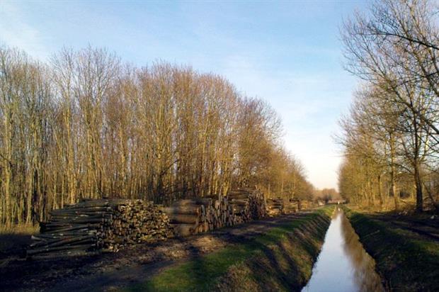 Image: Tijs B (CC BY-SA 2.0)