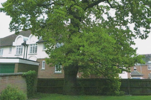 Image: FLDRA