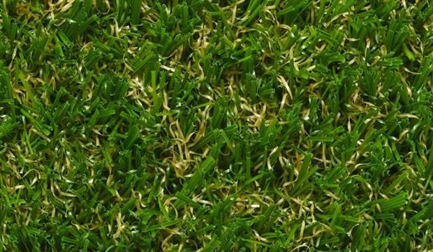 LazyLawn