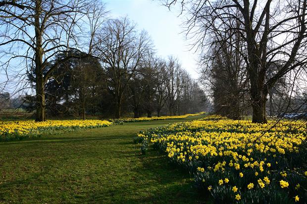 Nowton Park - image: Flickr/Martin Pettitt (CC BY 2.0)
