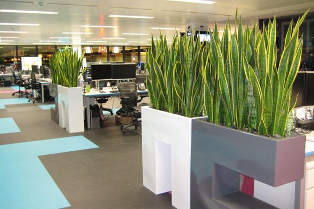 Interior Landscape: Installation Only - GP Plantscape Skyscanner, Edinburgh EH3