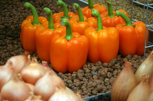 UK produce - image:HW