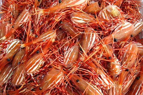 Shrimp heads - image:Phu Thinh Co