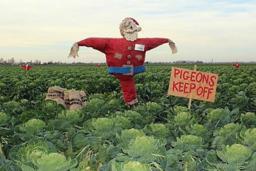 Santa-suited scarecrows - image:Tesco
