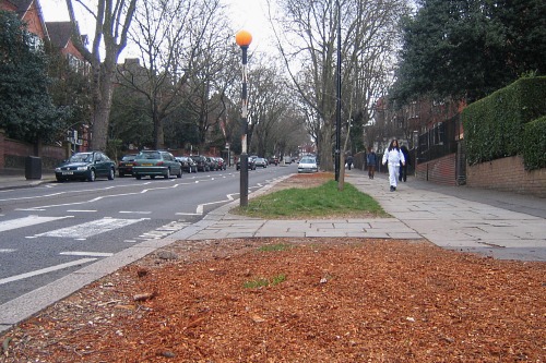 Site of a removed mature street tree - image:HW