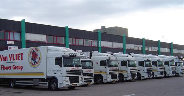 Van Vliet Flower Group Joins Floranti Van Vliet Flower Group Joins Floranti