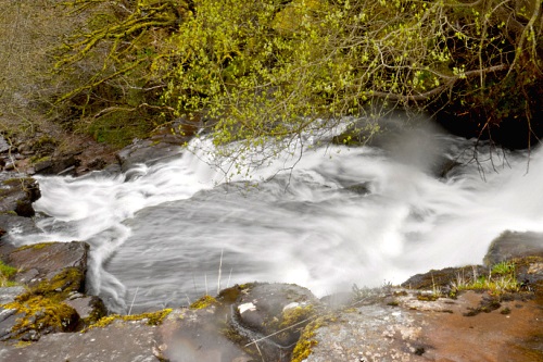 Waterfall in woodland - image: Meg Vaughan