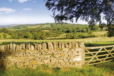 Deemed rural: it is essential that dispensing practices keep up to date on which areas their PCTs define as rural or non-rural, otherwise their dispensing list size could fall (Photograph: Istock)