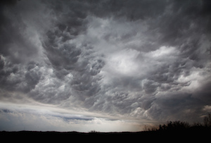 Credit: Dennis Behm/Flickr