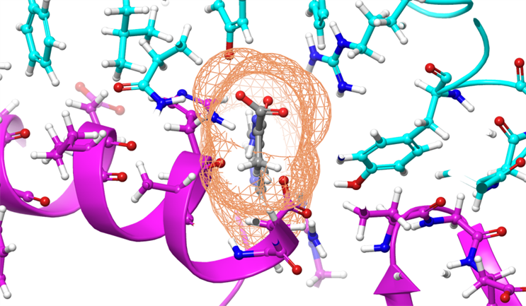 coronavirus molecules image