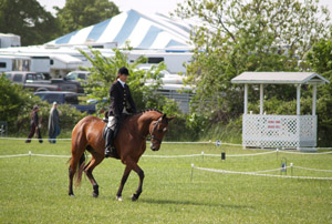 Badminton Horse Trials called off following heavy rain