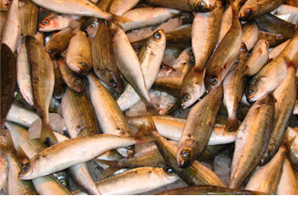 Proposed food-labelling rules could confuse consumers