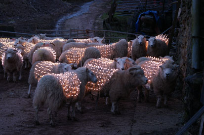 The Viral Factory's LED Sheep have been shortlisted