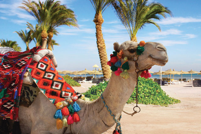 Thomas Cook: overhauls its 2013 summer marketing strategy