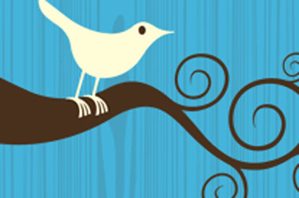 Twitter: solved its 'spam' problem