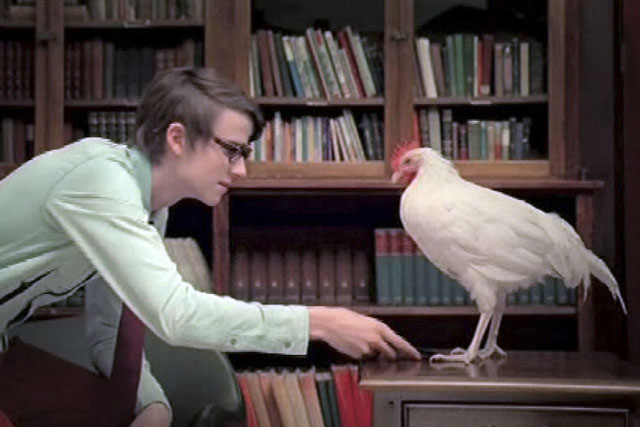 Diary: Turkey of the Week - Cheil Worldwide/Samsung