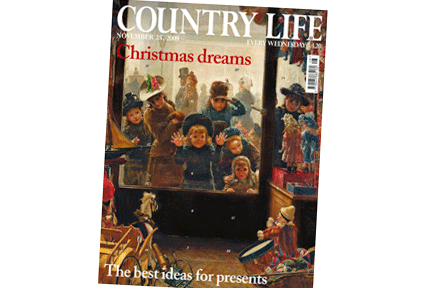 Country Life: Christmas-themed edition