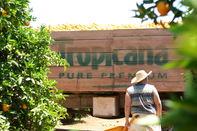 Tropicana: ads by DDB focus on provenance of its range