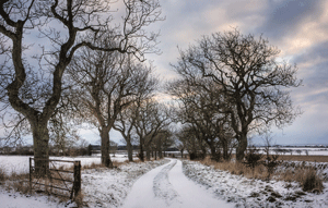 Hiscox sees rise in claims following worst winter since 1960