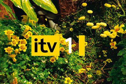 ITV, forecasting revenue will be down 12% in Q3