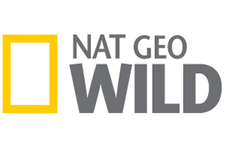 Worming brand Drontal sponsors Nat Geo Wild's 'The Dog Whisperer'