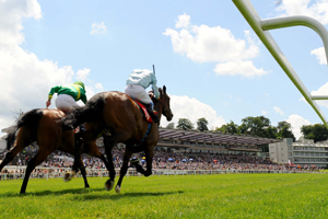 Sandown Racecourse