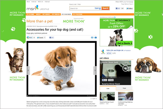 More Th N To Sponsor Msn Pet Portal