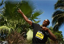 Jamaica to take over Finsbury Park for 2012 Games