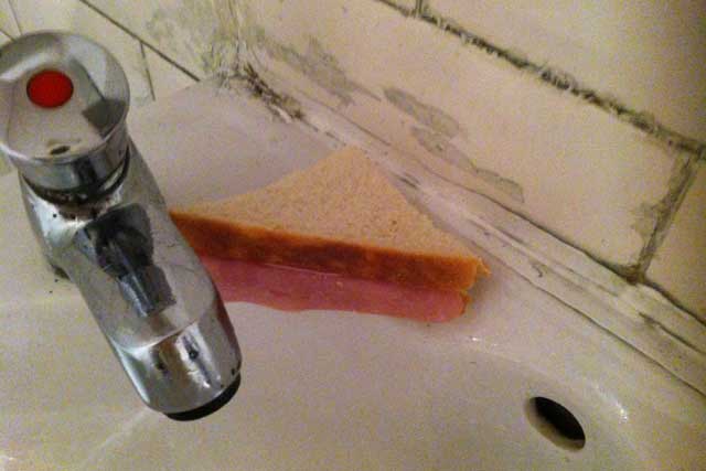 Not so tasty: ham sandwich