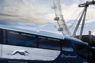 Greyhound