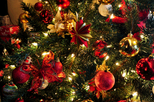 Event launches Christmas Party Guide online