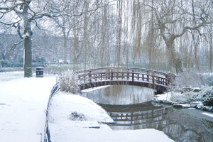 Snow