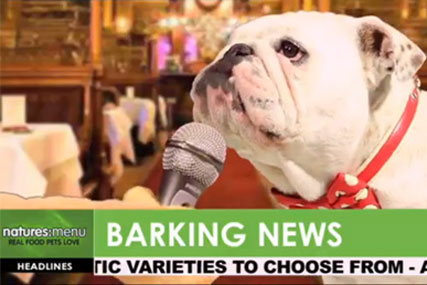 Nature's Menu: latest ad to be seen in cinemas and later on TV