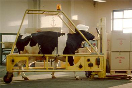 Arla Foods: retains Carat for pan-European media business