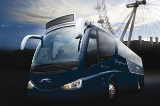 Greyhound
