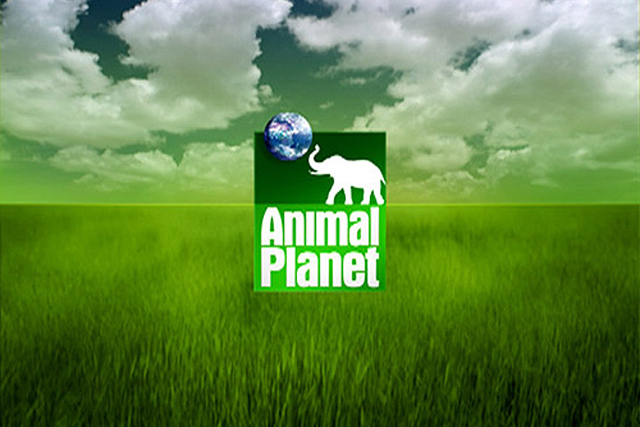 Animal Planet: part of BBC joint venture with Discovery