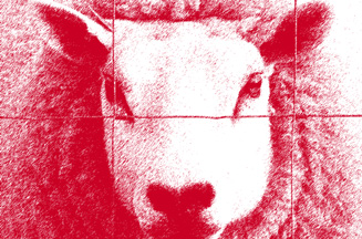 Reinventing Marketing: Alan Mitchell uses 'mad sheep rage' to unravel the mysteries behind marketing effectiveness