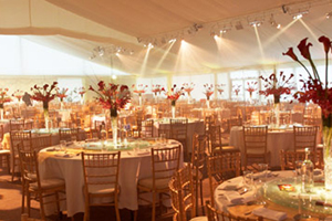 The Garden Room makes the Fab 50 Newcomers 2013 list