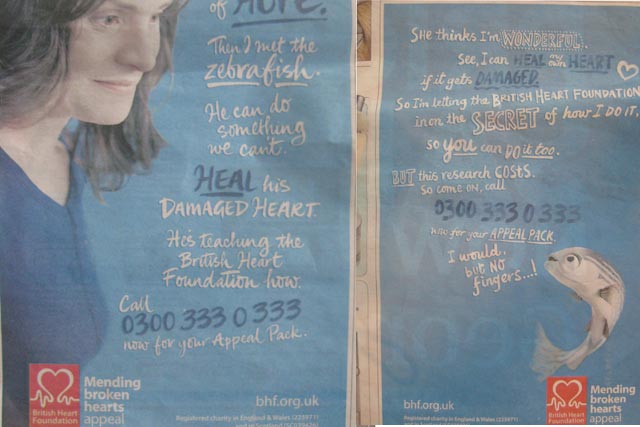 BHF campaign: an exmaple of media and creative working well togethert