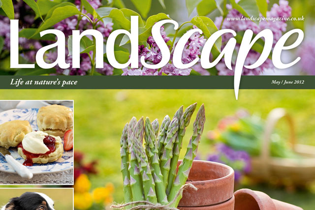 LandScape: will target women aged 35 and over