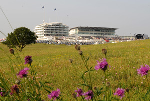 Epsom Downs