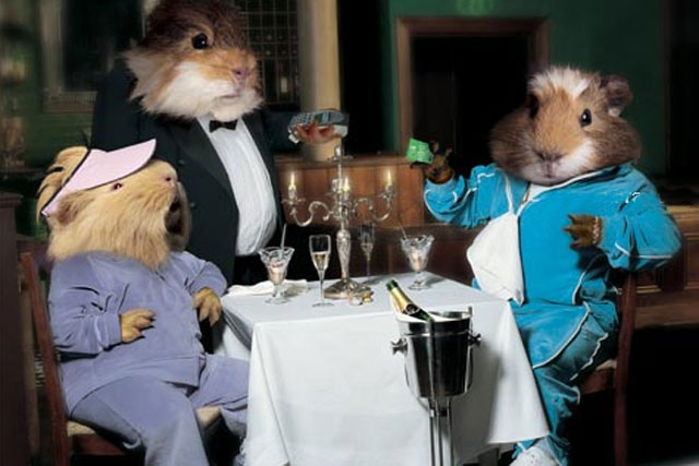Egg: 2005 guinea pig campaign by Mother