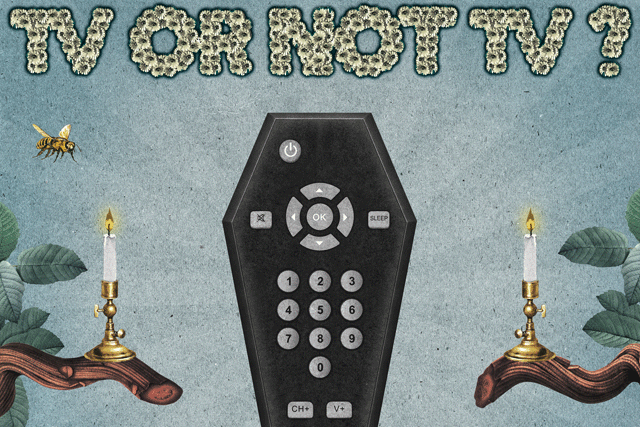 TV or not TV: Should challenger brands resist the lure of TV advertising?