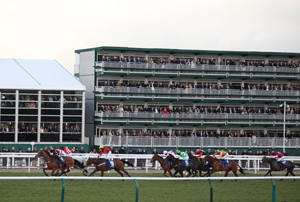Arena renews contract with Jockey Club
