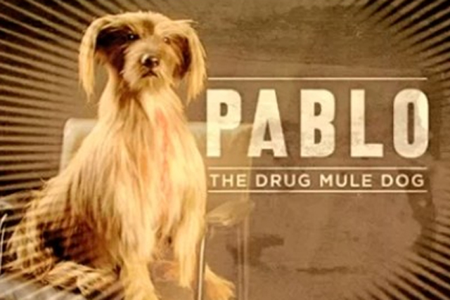 Pablo: part of the government's Frank campaign
