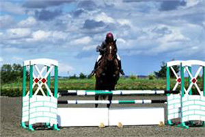 Locog submits hotly contested Greenwich Park application