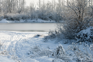 Snow blamed for Lapland theme park's closure