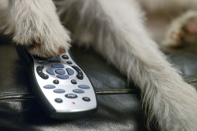 Sky: direct marketing account has been split into five categories